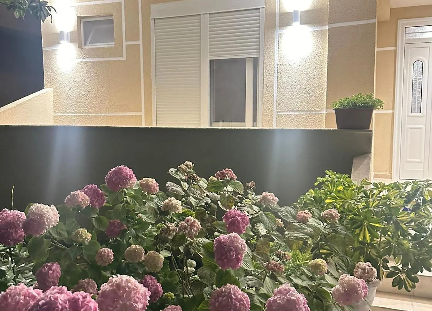 Vila Sinomati Vlore Apartment