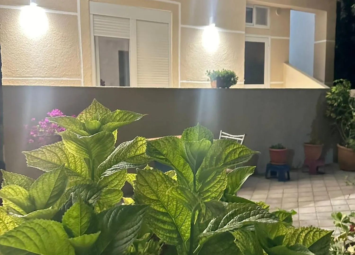 Vila Sinomati Vlore 0*,  Albania