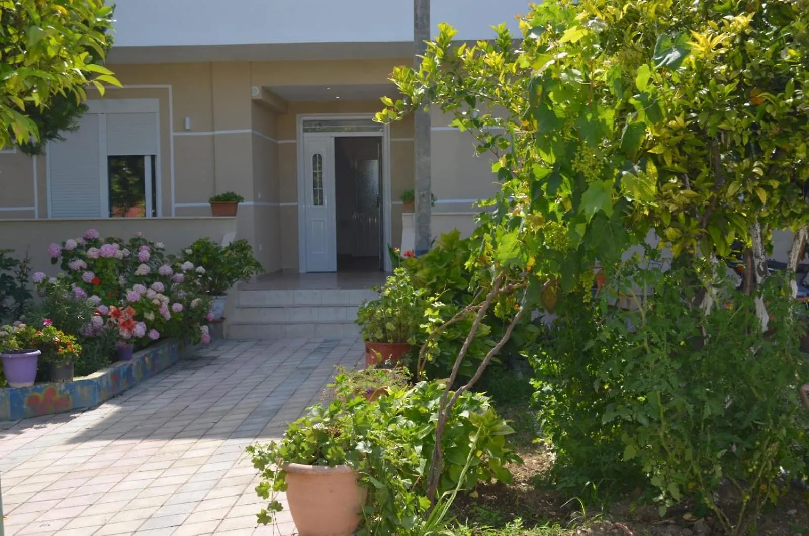 Apartment Vila Sinomati Vlore Albania